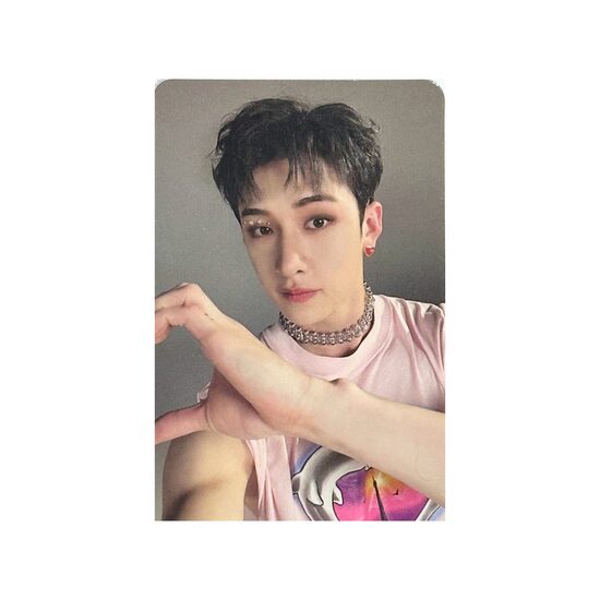 PHOTOCARD | Stray Kids [MAXIDENT]